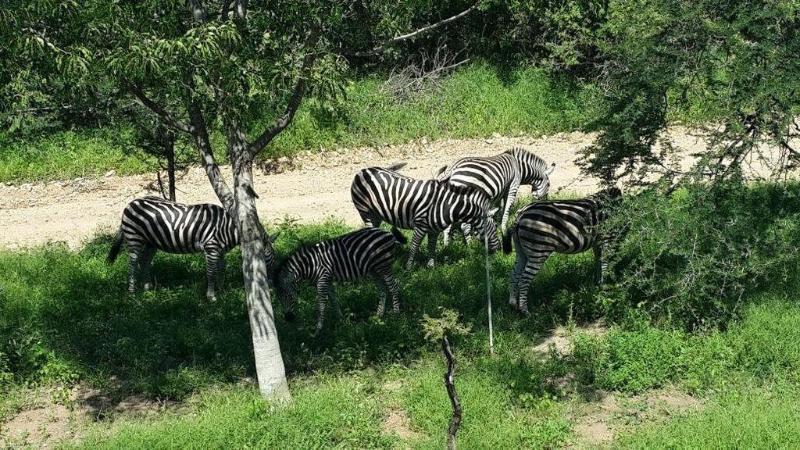 מרלות' פארק Kruger Riverside Lodge - No Load-Shedding מראה חיצוני תמונה